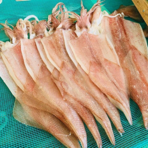 Mực Một Nắng 1kg