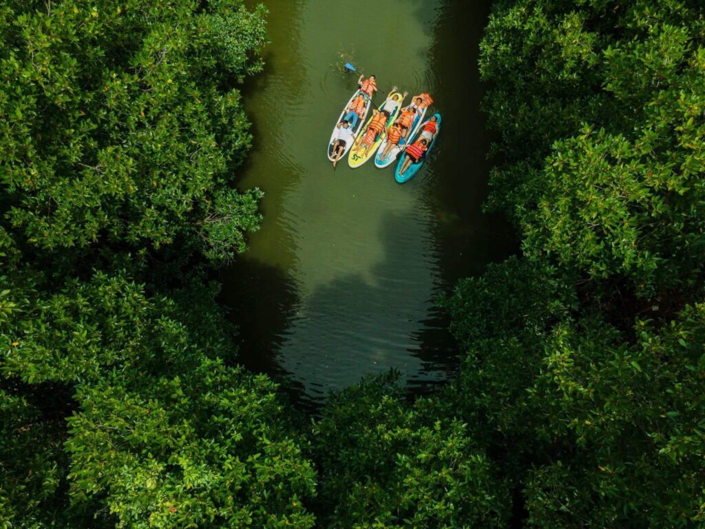 Tour Cồn Chim Quy Nhơn 1 Ngày: Vùng hoang dã trung tâm Thành Phố