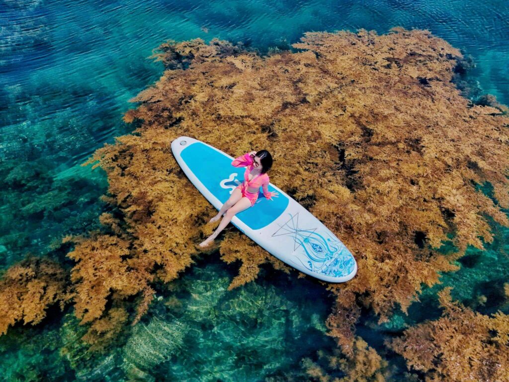 Tour ghép Quy Nhơn – Phú Yên 4N3Đ: Trải nghiệm văn hóa xứ Nẫu