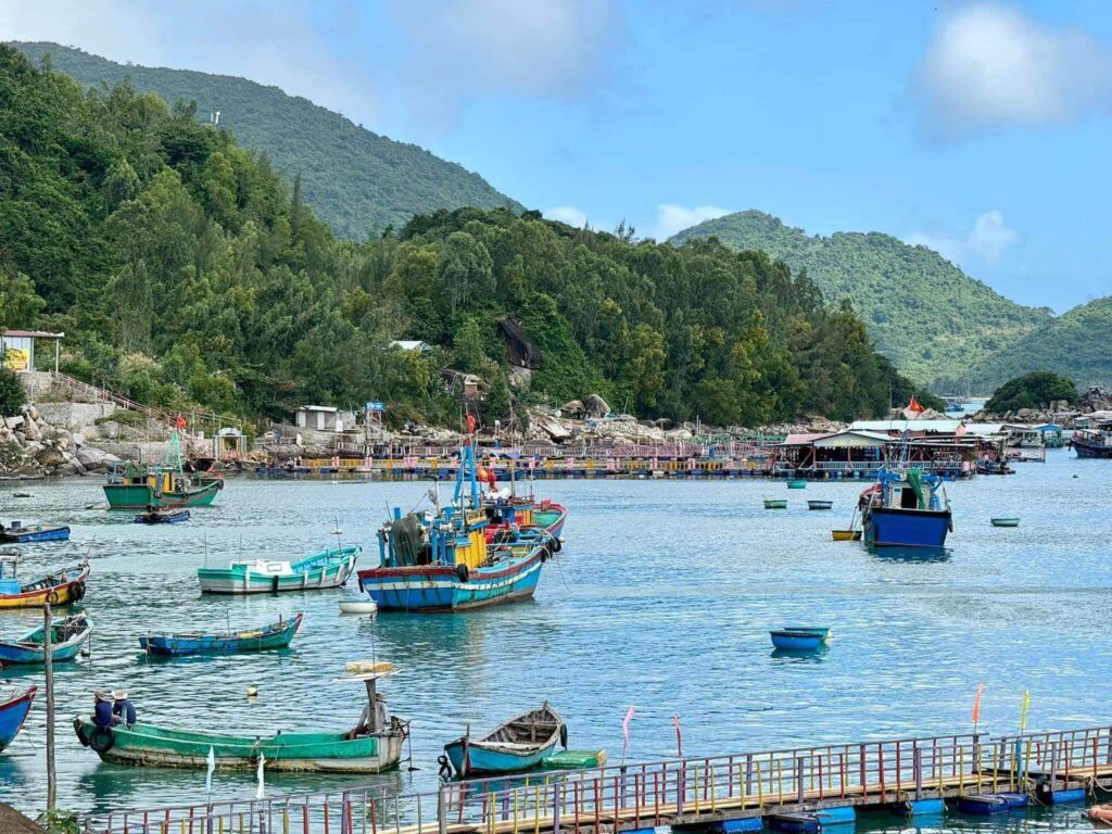 Tour Phú Yên – Đảo Điệp Sơn 1 ngày: Khám phá vẻ đẹp thiên nhiên